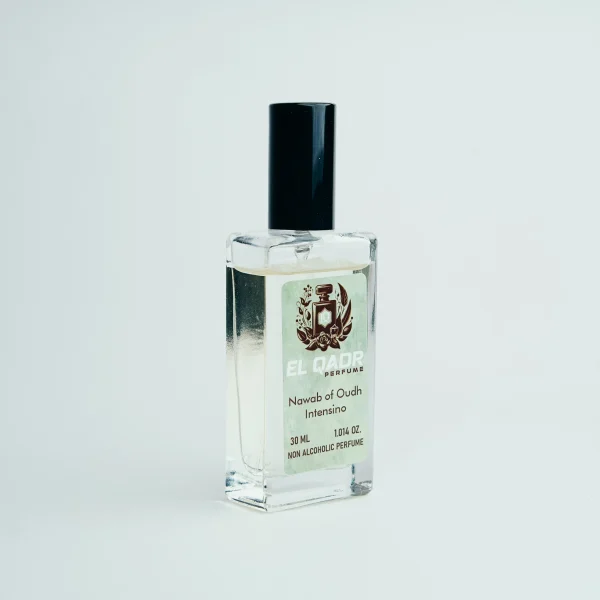 Nawab of Oudh Intensino-1