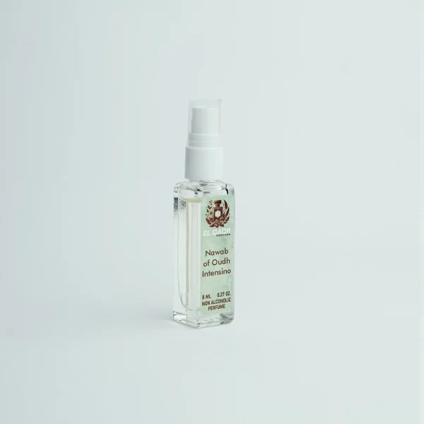 Nawab of Oudh Intensino-3